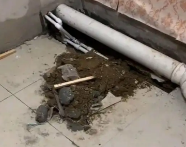 垫江卫生间漏水检测哪家好